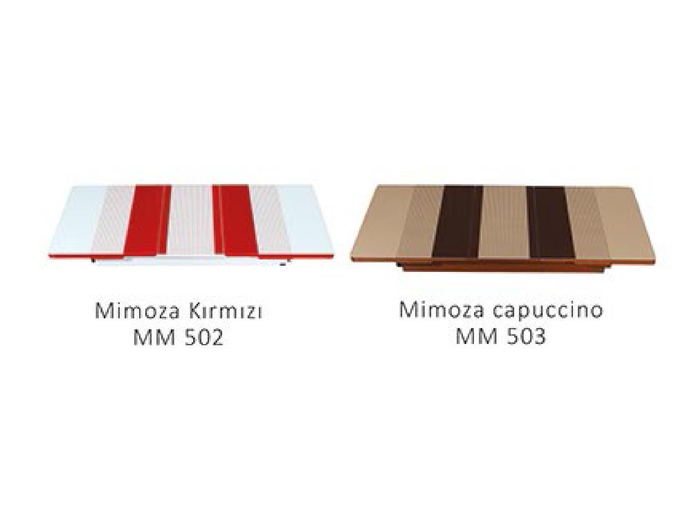 Mimoza Desen